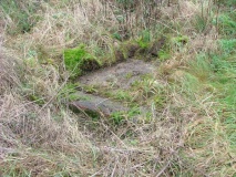 Botyl Well - PID:11049 Botyl Well - PID:11049