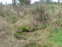 Botyl Well - PID:11050 Botyl Well - PID:11050