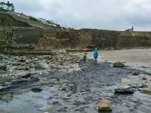 Portreath Submerged Forest