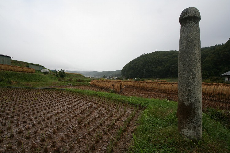 ★Standing Stones and Alternative archaeology in Japan: Stone Poles