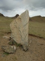 Tariat Deer Stone - PID:206439