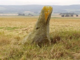 Ardlair (Pictish stone) - PID:34263