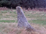 Ardlair (Pictish stone) - PID:34264