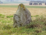 Ardlair (Pictish stone) - PID:34266