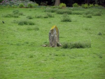 Image 7056 of 40508. Dunkeld Park Stone (or Pulney Lodge) is in a field to the south of the minor road from Dunkeld to th...