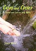 Cures and Curses, Ritual and cult at holy wells