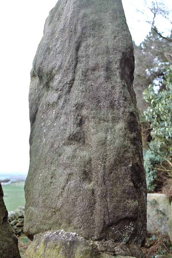 This full-length figure of indeterminate gender looks onto the forecourt from the inner portal stone. It is about three feet in length, with a jolly face. The figure's right hand seems to be holding a long stick, or possibly an antler, which extends up to the face. Above the left shoulder there seems to be the muzzle of a bovine beast, with something extending up to it from the left hand.