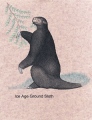 Jefferson's Ground Sloth - PID:87483