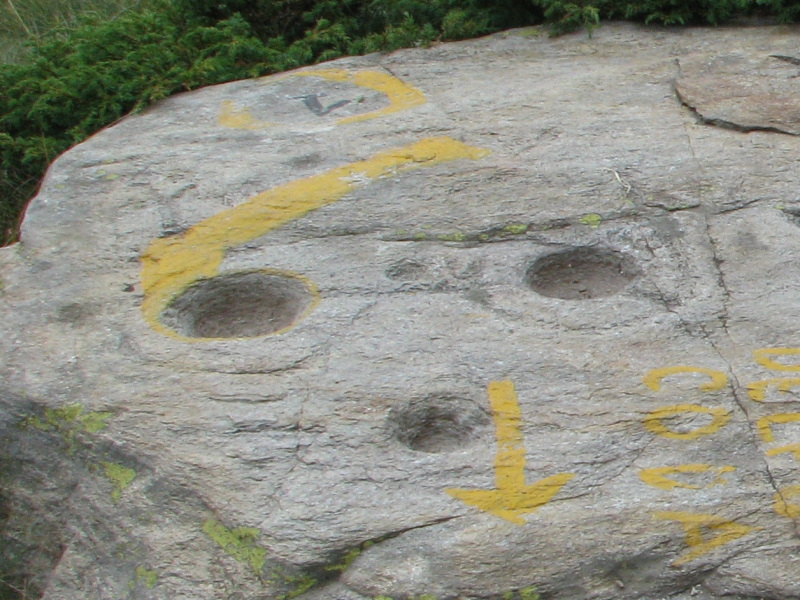 Boulder with 7 carved cups.