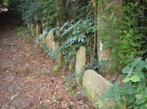 Photo 11 - Megalithic Road.