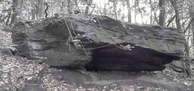 Photo 6 - Massive erratic boulder, possible shelter and/or altar stone