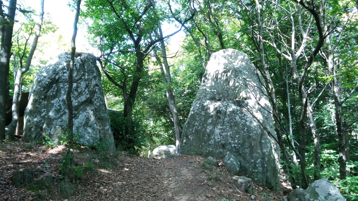 Bosco dei Celti, Monte Pietraborga, Trana (TO)