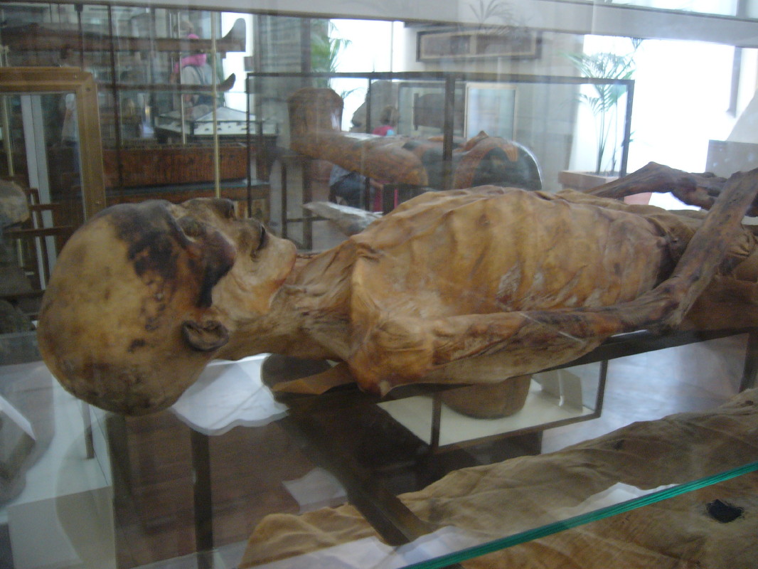 Mummy photographed during a visit to the museum in September 2006

