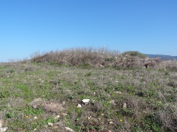 Alvu Nuraghe (Perfugas)