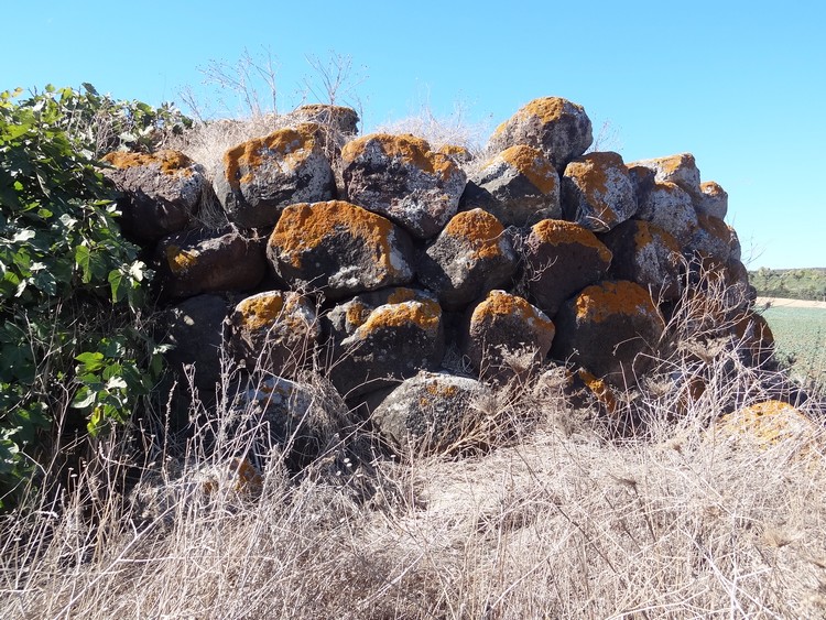 Angios Corruda Nuraghe