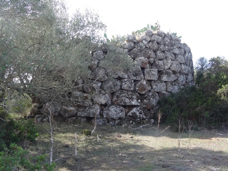 Columbos Nuraghe (Paulilatino)