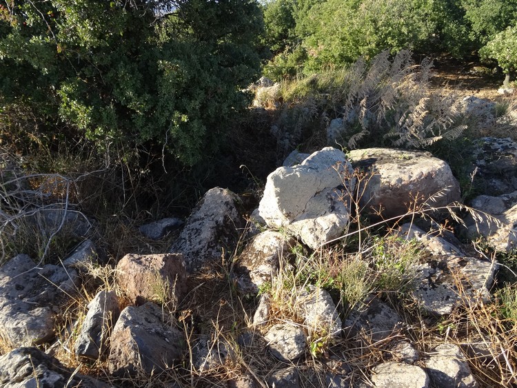 Comas de Pisu Nuraghe