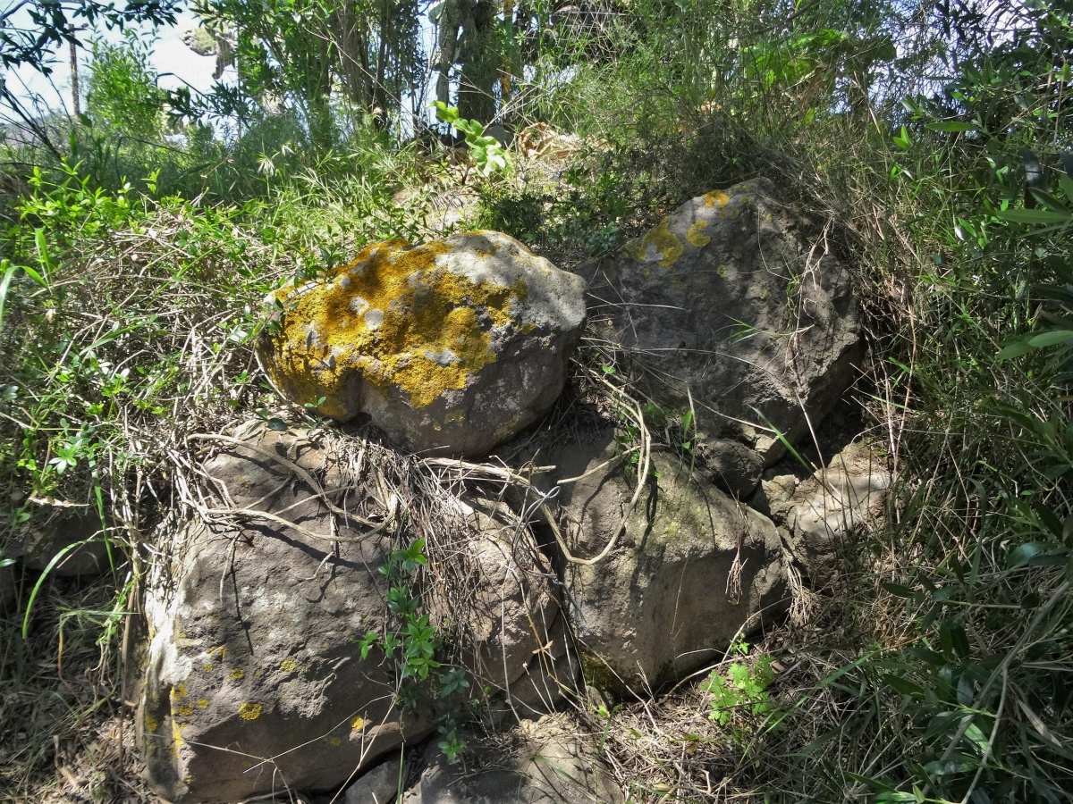 Sa Idda Nuraghe