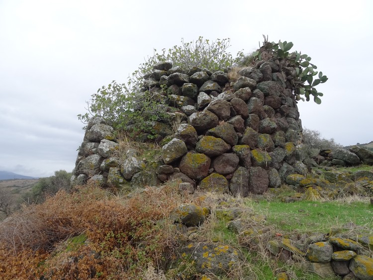 Longu Nuraghe (Sedini)