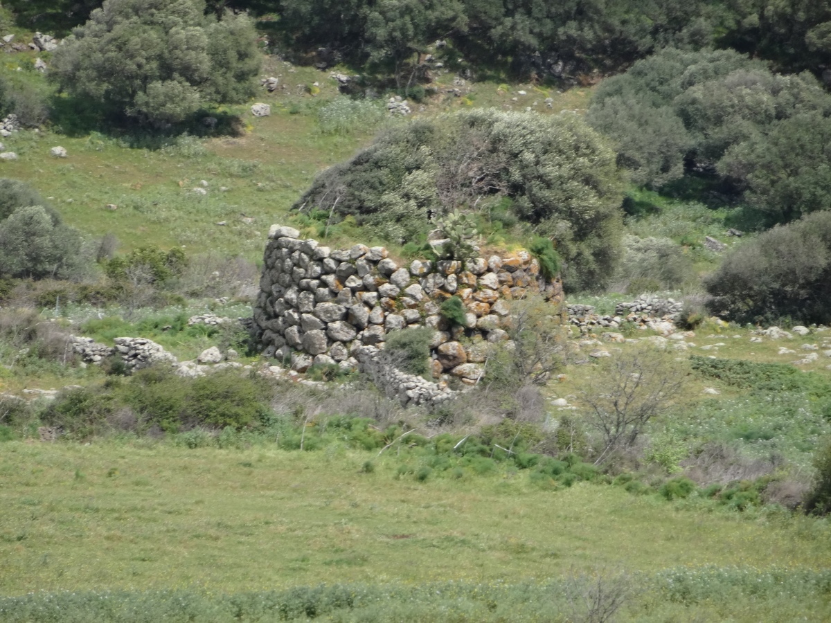 Lorenzu Nieddu Nuraghe