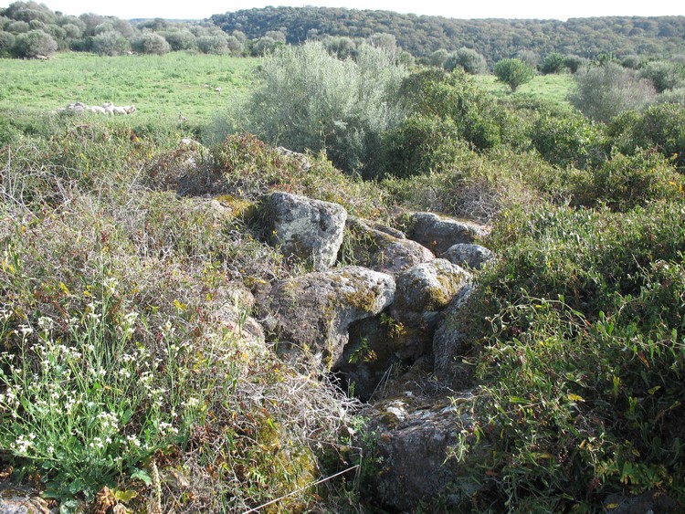 Concas Nuraghe (Perfugas)