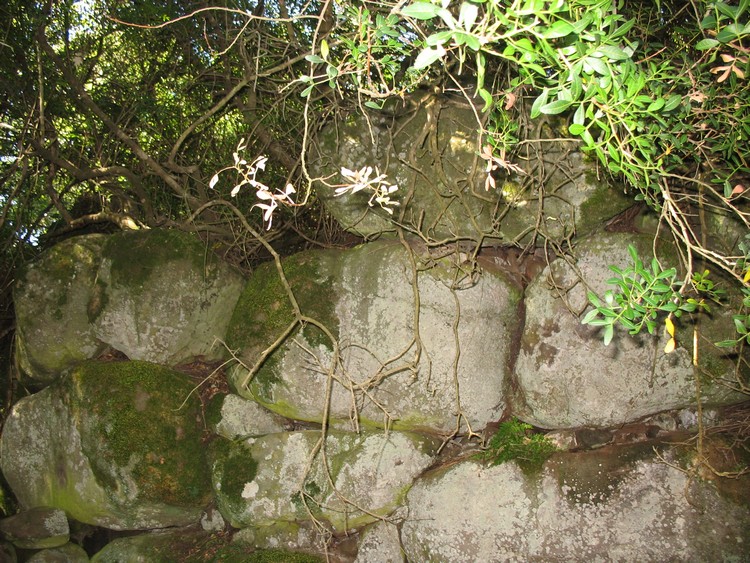 Mura e Lauros Nuraghe