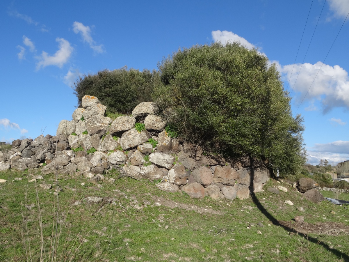 Curzu Nuraghe