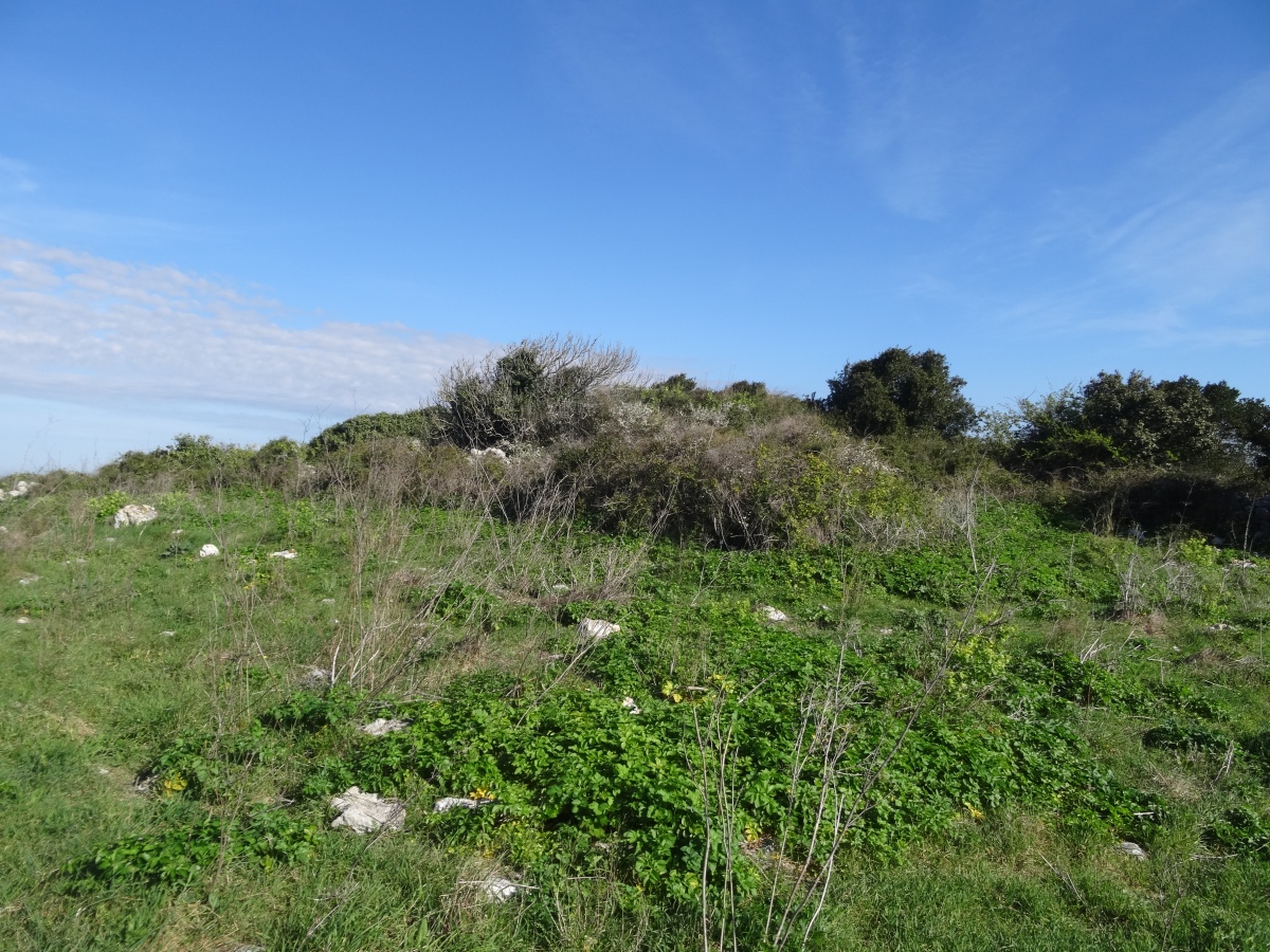 Pettu 'e Murtas Nuraghe