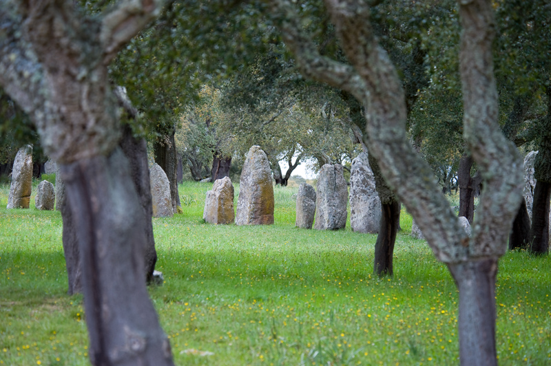 Pranu Mutteddu Stone row