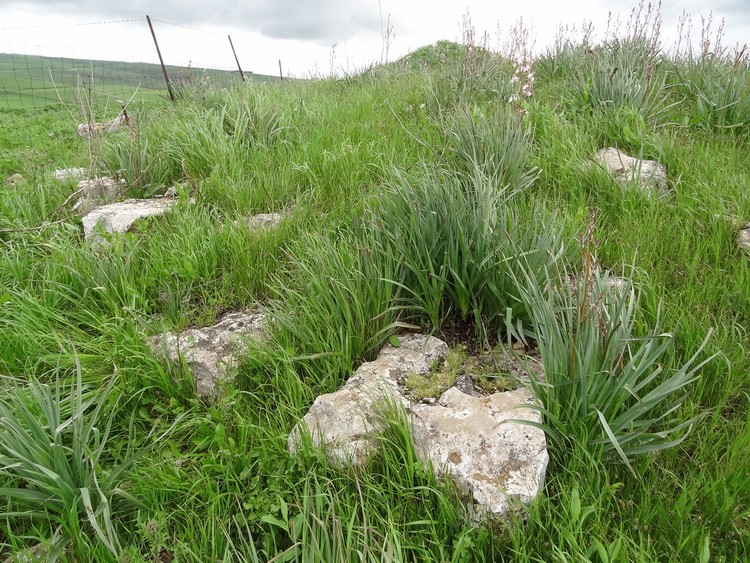 Ruinali Sa Figu Nuraghe