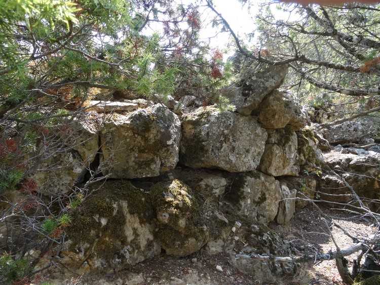 Sa Senepida Nuraghe