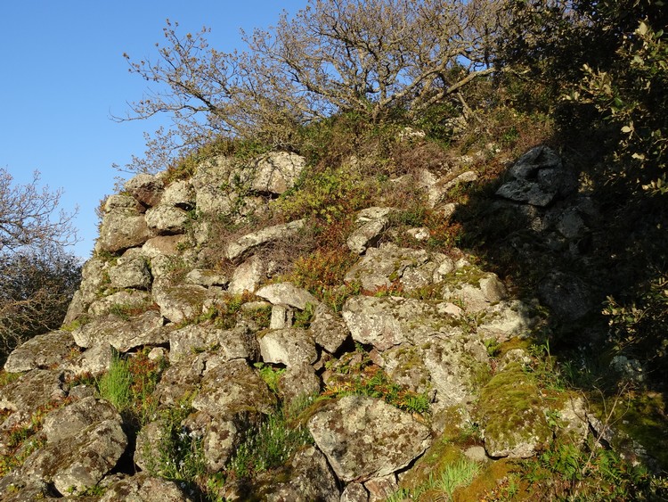 Serra Pantaleo Nuraghe