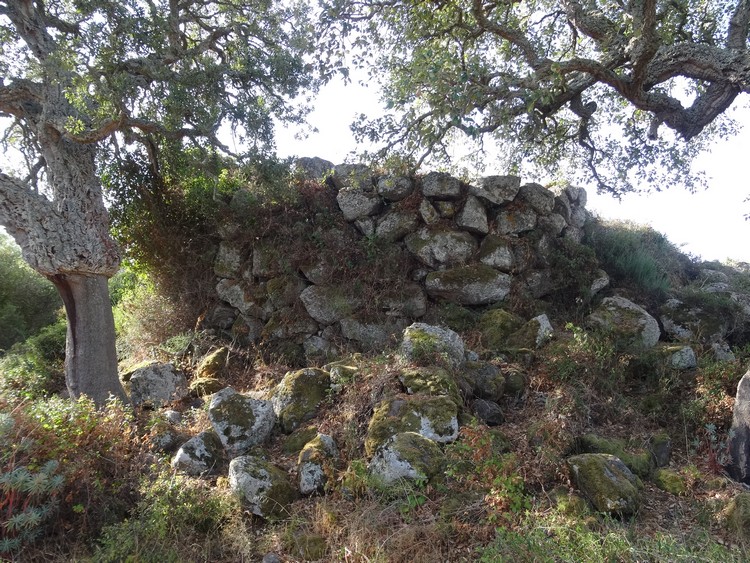 Luas Nuraghe