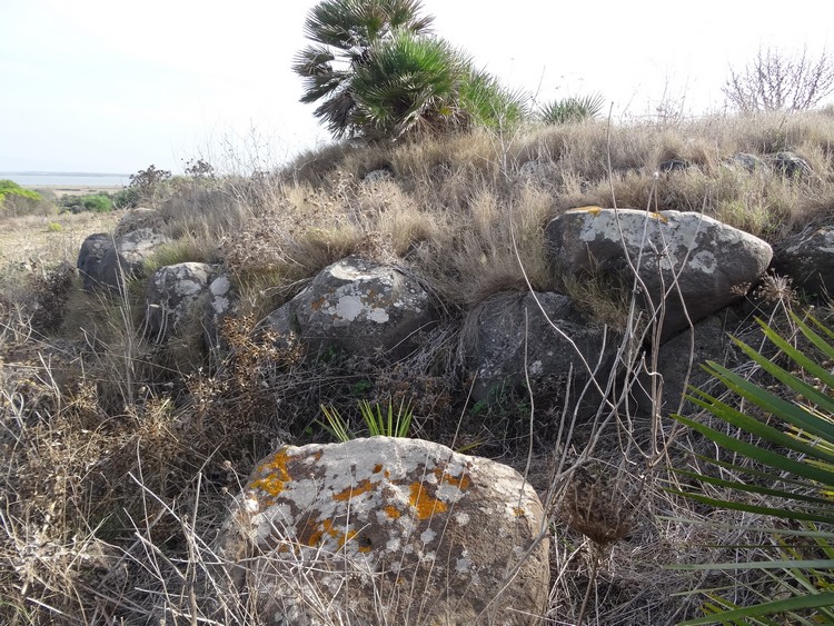 Su Archeddu 'e Su Procu Nuraghe