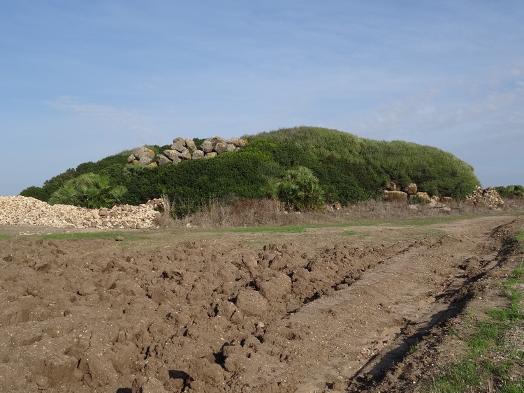 Molas Nuraghe