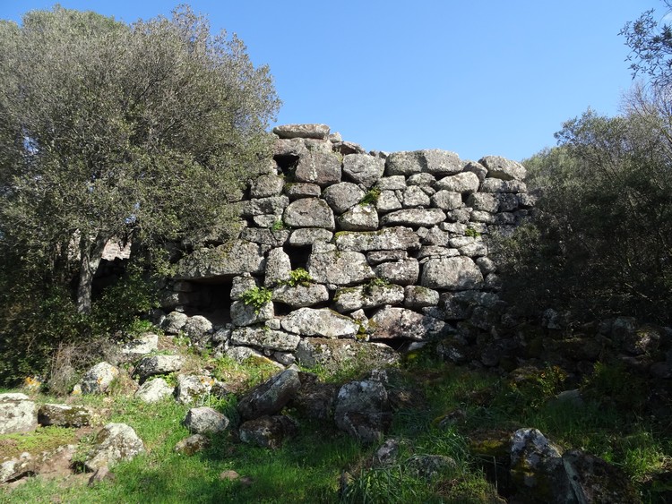 Canu Nuraghe