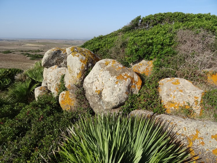 Sa Tiria Nuraghe