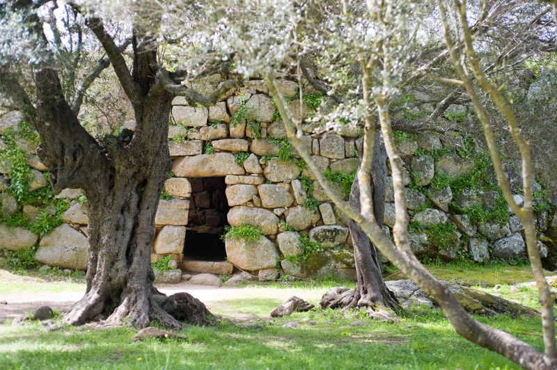 Albucciu Nuraghe