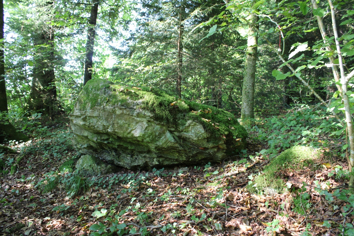 What was the role of this big stone? Nobody knows it. Energy Leys cross here. 

Photo taken in August 2021.