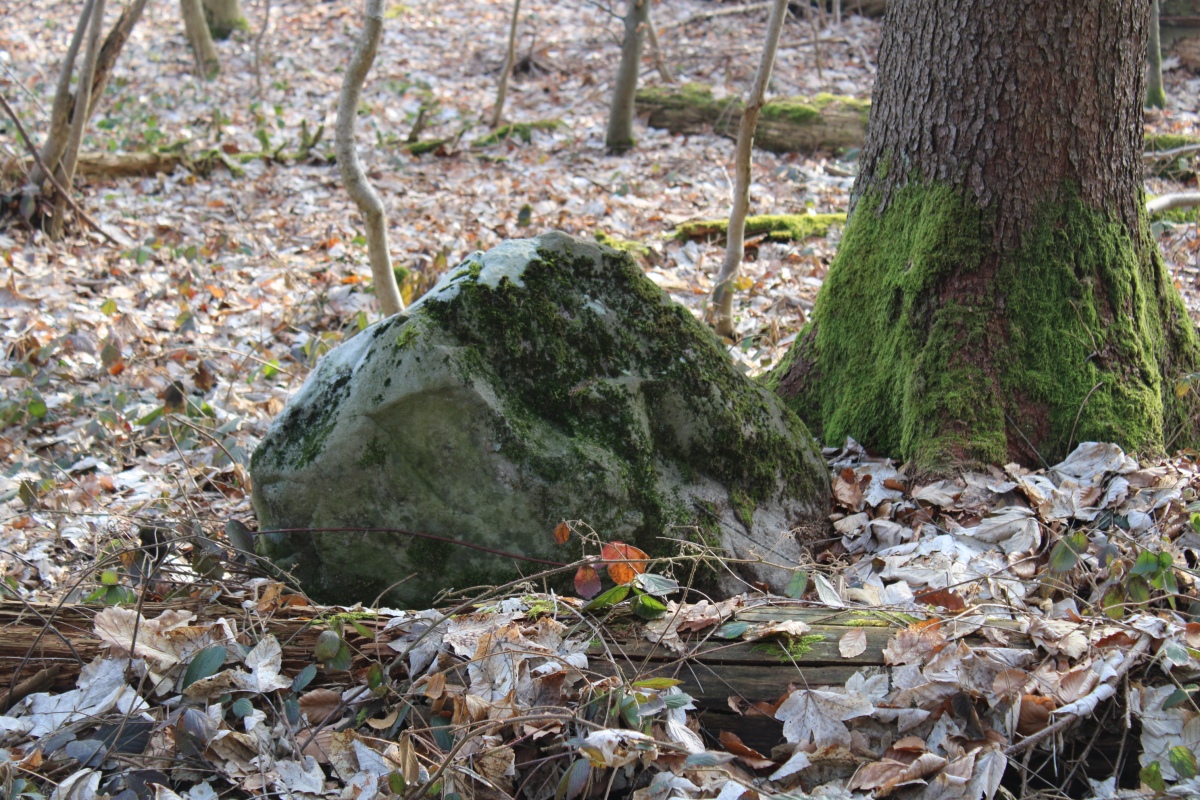 Massive 9th stone of the row of stones. 
Photo taken March 2023. 