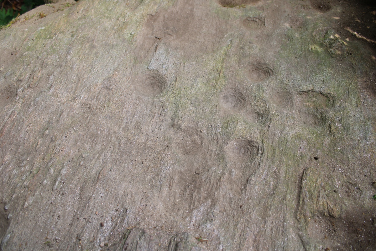 Site in Graubünden Switzerland, 
close-up of some cup-marks on the lower surface.