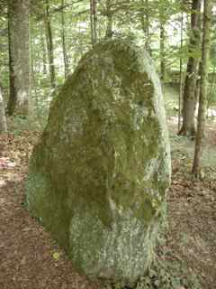 Givrins Menhir