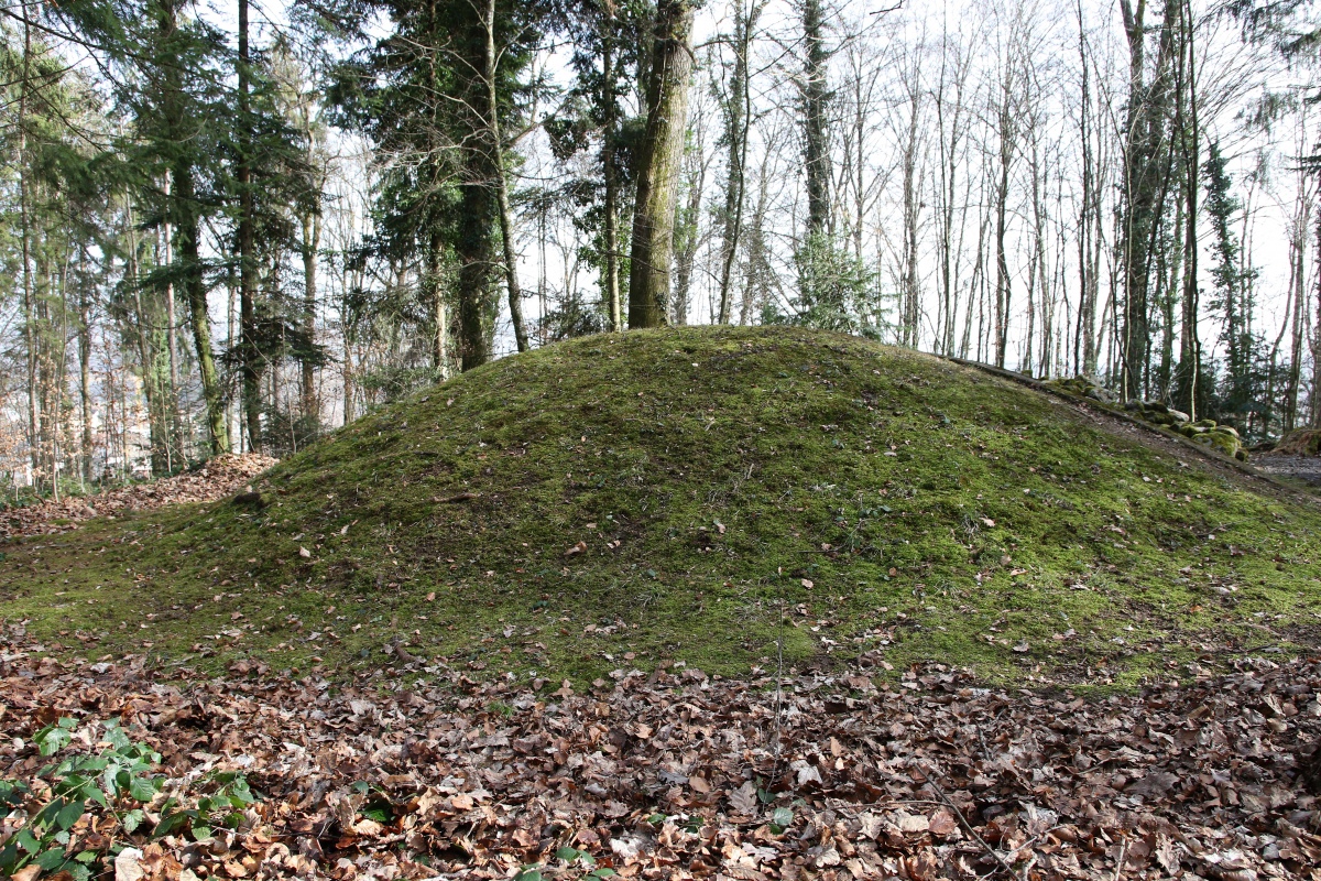 Fornholz burial mound