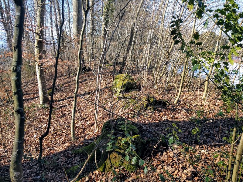 Stone blocks along the ridge of the small hill.