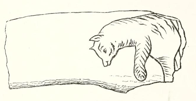 Engraving of a cat, from 