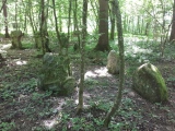 Althau Menhirs - PID:227752