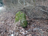 Buelwald Menhirs - PID:192564