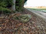 Buelwald Menhirs - PID:192566