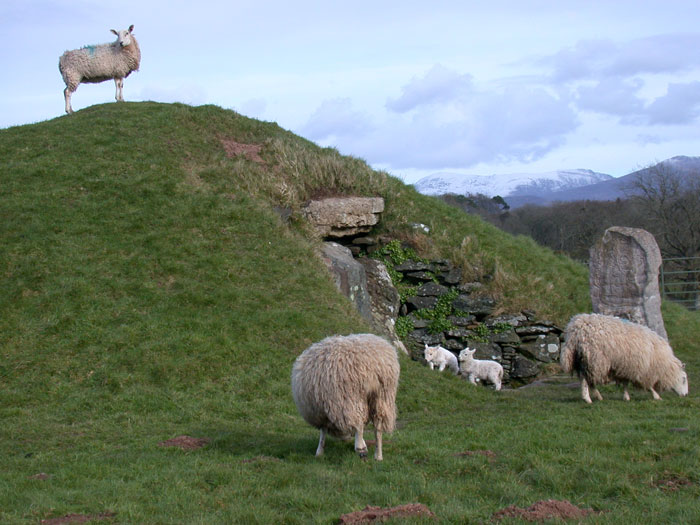 * A * Best Springtime photo with a Megalithic or Prehistoric subject
Bryn Celli Ddu - complete with new born lambs and snow on Snowdonia Mountains.....