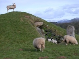 Bryn Celli Ddu - Passage Grave in Wales in Anglesey (Sir Ynys Mon) - PID:20038